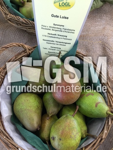 Gute Luise.jpg